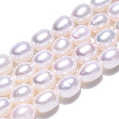 天然養殖淡水パールビーズ連売り  ライス  貝殻色  7.3~8.3x5.9~6.6mm  穴：0.7~0.8mm  約45~50個/連  14.17インチ（36cm）&nbsp;PEAR-N012-06P