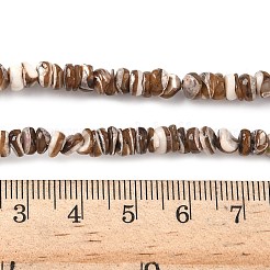 天然ブラックリップシェルビーズ連売り  ナゲット  3~5x1.5~4mm  穴：0.6~0.7mm  約146~148個/連  14.72~14.96''（37.4~38センチメートル）&nbsp;SSHEL-F304-02A