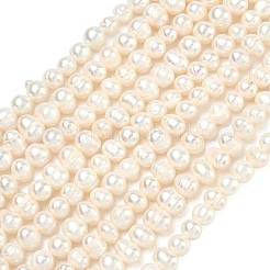 天然養殖淡水パールビーズ連売り  ポテト  グレードa ++  アンティークホワイト  6~6.5mm  穴：0.6mm  約66個/連  13.70''（34.8センチメートル）&nbsp;PEAR-L034-04