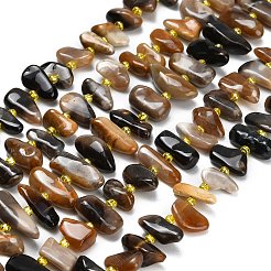 天然ブラックアフリカオパールビーズ連売り  ナゲット  タンブルストーン  シードビーズで  11.5~20.5x4.5~8.5mm  穴：0.8mm  約43~47個/連  14.96''~15.35''（38~39センチメートル）&nbsp;G-Z124-B01-01