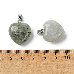 天然石ラブラドライトペンダント  304ステンレススチールのスナップオンベイル付きハートチャーム  ステンレス鋼色  22x20x12mm  穴：7x4mm&nbsp;G-F820-10A-06