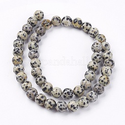 天然ダルメシアンジャスパー石ビーズ連売り  ラウンド  8mm  穴：1mm  約45~48個/連  14.9インチ&nbsp;X-G-R193-14-8mm