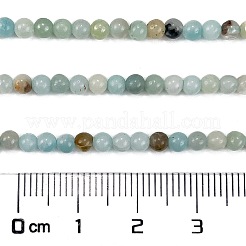 天然フラワーアマゾナイトビーズ連売り  ラウンド  グレードA  3mm  穴：0.5mm  約136個/連  15.87''（40.3センチメートル）&nbsp;G-M438-A08-01