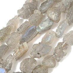 未加工天然ラブラドライトビーズ連売り  ナゲット  6~24x7~16x4~10mm  穴：1mm  約25~38個/連  15.35~15.94''（39~40.5センチメートル）&nbsp;G-M453-D14