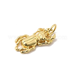 真鍮チャーム  長持ちメッキ  鉛フリー＆カドミウムフリー  ラックめっき  丸カン付き  18KGP本金メッキ  昆虫  19x9x3mm  穴：4.5mm&nbsp;KK-I364-05G-03