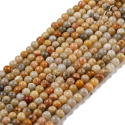 天然クレイジーレースアゲートビーズ連売り  グレードA  ラウンド  2mm  穴：0.8mm  約184個/連  38cm&nbsp;G-A130-2mm-K10
