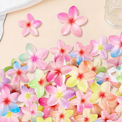 72個 12種類のプラスチックカボション  花  ミックスカラー  21~27x22~30x6~6.5mm  6個/スタイル&nbsp;KY-SC0002-58