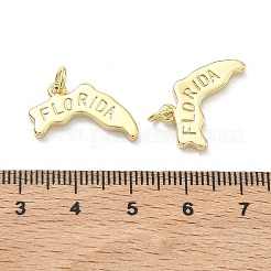 真鍮チャーム  フロリダの文字が入ったナゲット  長持ちメッキ  ラックめっき  鉛フリー＆カドミウムフリー  18KGP本金メッキ  14.5x19x2.5mm  丸カン：5x1ミリ  3mm内径&nbsp;KK-D229-22D-G