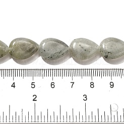 天然石ラブラドライトビーズ連売り  ティアドロップ  16x12x5~6mm  穴：1mm  約25個/連  15.16''~15.75''（38.5~40センチメートル）&nbsp;G-P561-B05-01