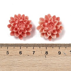 合成サンゴ染め彫刻ビーズ  花  トマト  20x19x12mm  穴：1.2mm&nbsp;SHEL-Z003-03D-01