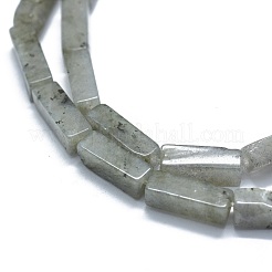 天然石ラブラドライトビーズ連売り  直方体の  12.5~13.5x3~5x3~4.5mm  穴：1mm  約30~32個/連  15.1~15.9インチ（38.5~40.5cm）&nbsp;G-F631-E22