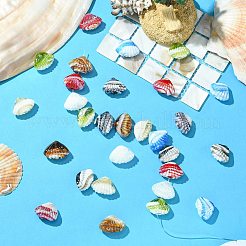 40個8色手作りランプワークビーズ  シェル形状  パールカラーの  ミックスカラー  15.5~17.5x22~23.5x9.5~11mm  穴：1.5~2.5mm  5個/カラー&nbsp;LAMP-CJ0002-76