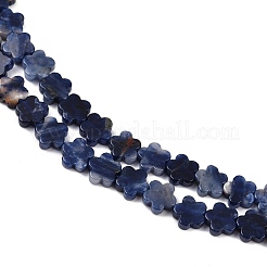 天然石ソーダライトビーズ連売り  スモモの花  6~6.5x6x2.5mm  穴：0.8mm  約60~63個/連  14.37~14.84''（36.5~37.7センチメートル）&nbsp;G-B138-C12-01