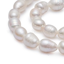 天然養殖淡水パールビーズ米  ナチュラルカラー  ホワイト  10~11mm  穴：0.8mm  約28~29個/連  13.58インチ（34.5cm）&nbsp;A23TR011
