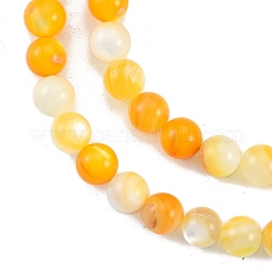 ナチュラル ゴールデン イエロー シェル ビーズ 連売り  ラウンド  7mm  穴：1mm  約56個/連  15.04インチ（38.2cm）&nbsp;SSHEL-G024-01B
