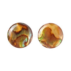 パウアシェルカボション  フラットラウンド  ダークオレンジ  15x2mm&nbsp;SSHEL-C008-08