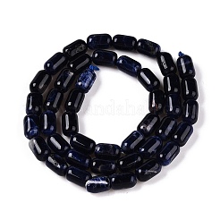 天然石ソーダライトビーズ連売り  コラム  9~9.5x6mm  穴：0.9~1mm  約42~43個/連  15.24~15.8''（38.7~39.5センチメートル）&nbsp;G-G980-37A