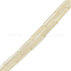 電気メッキガラスビーズセット  直方体の  ミックスカラー  20x4x4mm  穴：0.8mm  約38個/連  30.31インチ（77cm）&nbsp;EGLA-L044-I