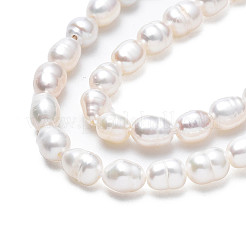 天然養殖淡水パールビーズ連売り  ライス  貝殻色  3.5~5x3.5~4.5mm  穴：0.6mm  約55~61個/連  13.70インチ〜13.78インチ（34.8cm〜35cm）&nbsp;PEAR-N012-03B