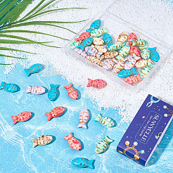 50個5色合成ターコイズビーズ  魚  染め  スプレー塗装  ミックスカラー  23~24x11.5~12x7~7.5mm  穴：1~1.2mm  10個/カラー&nbsp;TURQ-SC0001-36