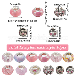 120個12スタイルレジンヨーロピアンビーズ  合金ラインストーンヨーロッパのビーズ付き  大穴ビーズ  ピンク  10~14x8~10mm  穴：5mm  10個/スタイル&nbsp;FIND-SC0010-24A