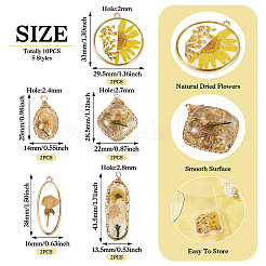 10個5スタイルエポキシ樹脂ペンダント  混合図形  合金の留め具とドライフラワー付き  きいろ  25~43.5x13.5~29.5x2.8~7.5mm  穴：2~2.8mm  2個/スタイル&nbsp;FIND-TA0008-97