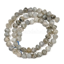 天然石ラブラドライトビーズ連売り  多面カット  ツイスト  6~6.5x5x5mm  穴：1mm  約58~61個/連  14.17''~14.69''（36~37.3センチメートル）&nbsp;G-P611-C26-01