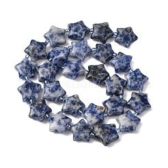 天然ブルースポットジャスパービーズ連売り  スター  シードビーズで  15~15.5x16~16.5x6.5~7mm  穴：1.4mm  約25個/連  15.75''~16.14''（40~41センチメートル）&nbsp;G-K359-E11