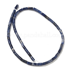 天然石ソーダライトビーズ連売り  コラム  8x4mm  穴：1mm  約49個/連  15.35''（39センチメートル）&nbsp;G-B091-A24-01
