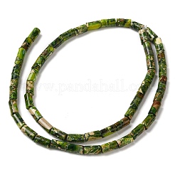 ナチュラルインペリアルジャスパービーズ連売り  染め  コラム  オリーブドラブ  8x4.5mm  穴：1.2mm  約50個/連  15.75''（40センチメートル）&nbsp;G-Q169-A02-01E