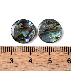 天然パウア貝エポキシ樹脂カボション  フラットラウンド  12.5x2.5mm&nbsp;SSHEL-S279-01A