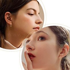 12個2サイズの真鍮オーバルスタッドピアス、女性用スターリングシルバーピン925個付き  18KGP本金メッキ  25x6.5mmと20x6mm  ピン：0.8mm  6pcs /サイズ&nbsp;KK-FH0005-08