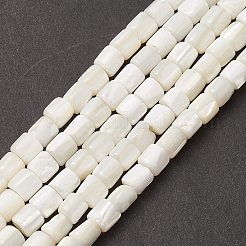 天然海シェルカラムビーズ連売り  7x6mm  穴：1mm  約63個/連  15.7インチ&nbsp;SSHEL-M014-22-A