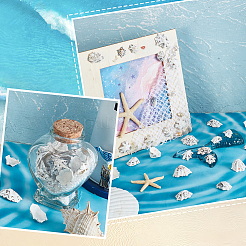 400gの天然貝ビーズ  穴がない  貝殻工芸品手作り  雪  15~27x13~21x7~12.5mm&nbsp;SHEL-GA0002-31