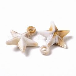 アクリルパーツ  天然石風  スター  バリーウッド  24x20x7mm  穴：2.7mm  約633個/500g&nbsp;OACR-C011-19