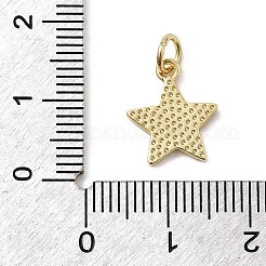 真鍮製エナメルペンダント  スターのチャーム  ラックめっき  長持ちメッキ  カドミウムフリー＆鉛フリー  18KGP本金メッキ  ジャンプリングとグリッターパウダー付き  ペルー  13x11.5x1.5mm  穴：3mm&nbsp;KK-P338-13G-02