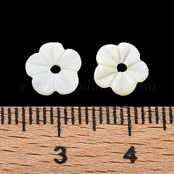 天然淡水貝の彫刻ビーズ  花  フローラルホワイト  8x1.6~2mm  穴：1mm&nbsp;SH-CBACA76-04
