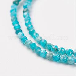 天然アパタイトビーズ連売り  ラウンド  多面カット  2mm  穴：0.5mm  約164個/連  15.8インチ（40.2cm）&nbsp;G-G680-11