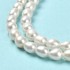 天然養殖淡水パールビーズ連売り  ライス  グレード5 A  フローラルホワイト  5~5.5x4.5~5mm  穴：0.7mm  約60~61個/連  14.25''~14.41''（36.2~36.6センチメートル）&nbsp;PEAR-E016-125