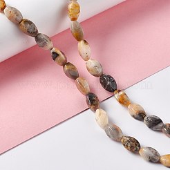 天然クレイジーレースアゲートビーズ連売り  ツイスト  12x6x6mm  穴：1mm  約33~34個/連  15.39''~15.98''（39.1~40.6センチメートル）&nbsp;G-L243B-20