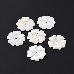 ナチュラルホワイトシェルビーズ  淡水シェルビーズ  花  貝殻色  23.5~24x24.3~25x2.3~2.8mm  穴：1.8mm&nbsp;SSHEL-C011-08