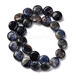 天然石ソーダライトビーズ連売り  フラットラウンド  16x6.5~7mm  穴：1.2mm  約25個/連  14.96~15.35インチ（38~39cm）&nbsp;G-C159-A09-01