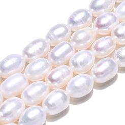天然養殖淡水パールビーズ連売り  ライス  貝殻色  9~11.5x7~8mm  穴：0.7mm  約32~33個/連  13.78インチ〜13.98インチ（35~35.5cm）&nbsp;PEAR-N012-07F