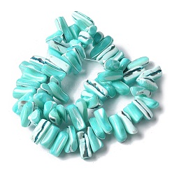 染色された天然トロクスシェルビーズ連売り  ナゲット  ダークターコイズ  9~21x5~7x6~8mm  穴：1.2mm  約54~67個/連  14.76~15.24インチ（37.5~38.7cm）&nbsp;SSHEL-C013-09M