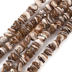 天然ブラックリップシェルビーズ連売り  ナゲット  3~5x1.5~4mm  穴：0.6~0.7mm  約146~148個/連  14.72~14.96''（37.4~38センチメートル）&nbsp;SSHEL-F304-02A