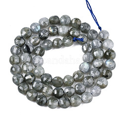 天然石ラブラドライトビーズ連売り  ファセットコインビーズ  フラットラウンド  6x4.5mm  穴：0.8mm  約59~60個/連  14.17~14.57インチ（36cm〜37cm）&nbsp;G-S354-24-A