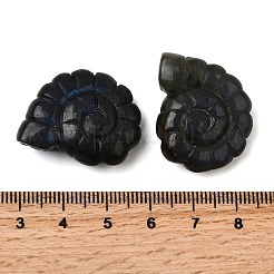 天然石ラブラドライトペンダント  上部に穴が開けられた両面彫刻のオウムガイ  29x25x9.5mm  穴：1mm&nbsp;G-NH0065-01C
