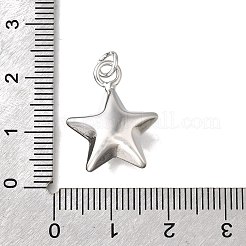 真鍮チャーム  スターのチャーム  丸カン付き  カドミウムフリー＆鉛フリー  長持ちメッキ  ラックめっき  プラチナ  20x16x7mm  穴：3.5mm&nbsp;KK-Z102-10P-02