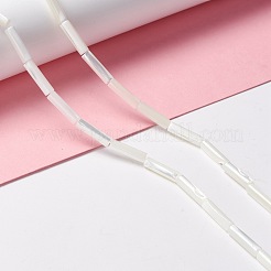 天然トロチッドシェル/トロカスシェルビーズ  ストレートチューブ  貝殻色  14x3.5~4mm  穴：0.8mm  約29個/連  15.98インチ（40.6cm）&nbsp;SSHEL-O001-26B
