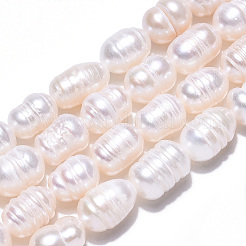 天然養殖淡水パールビーズ連売り  バロックケシパールライスビーズ  貝殻色  8~15x5.7~7mm  穴：0.7~0.8mm  約28~38個/連  12.99インチ（33cm）&nbsp;X-PEAR-N012-06R